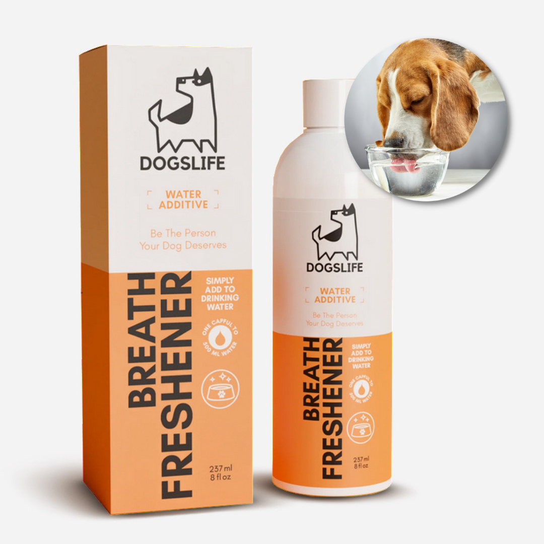 Best dog breath water additive hotsell