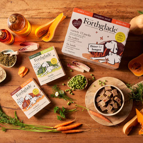 Senior Turkey, Lamb & Vegetables Wet Dog Food