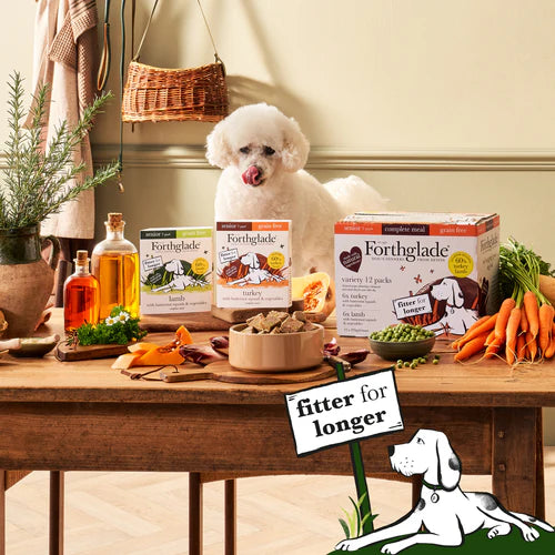 Senior Turkey, Lamb & Vegetables Wet Dog Food