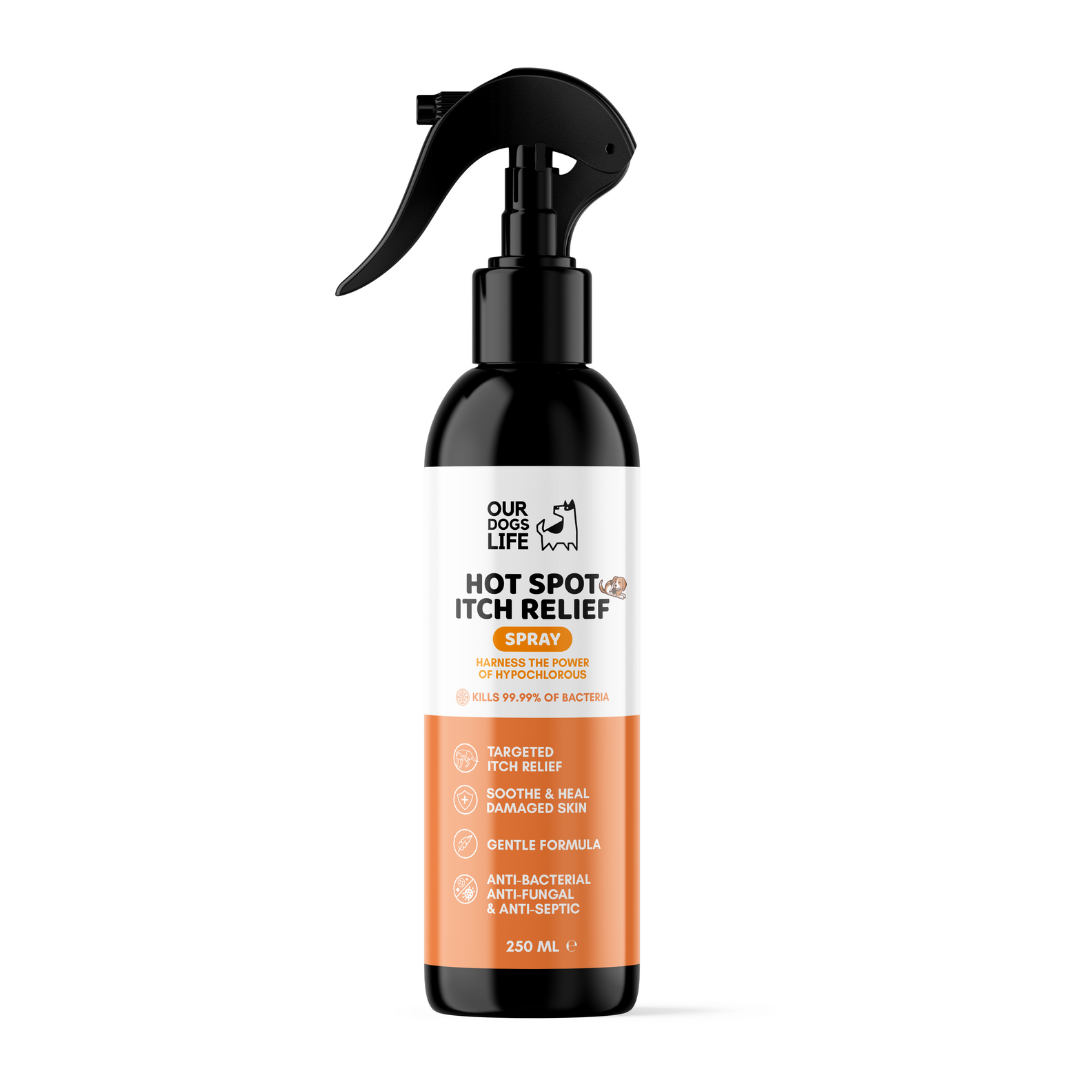Hot spot itch relief spray deals for dogs