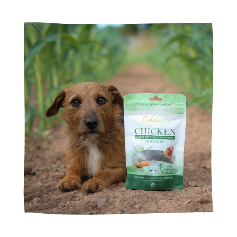 Eden Chicken, Sweet Potato & Chamomile Sausages 10pc