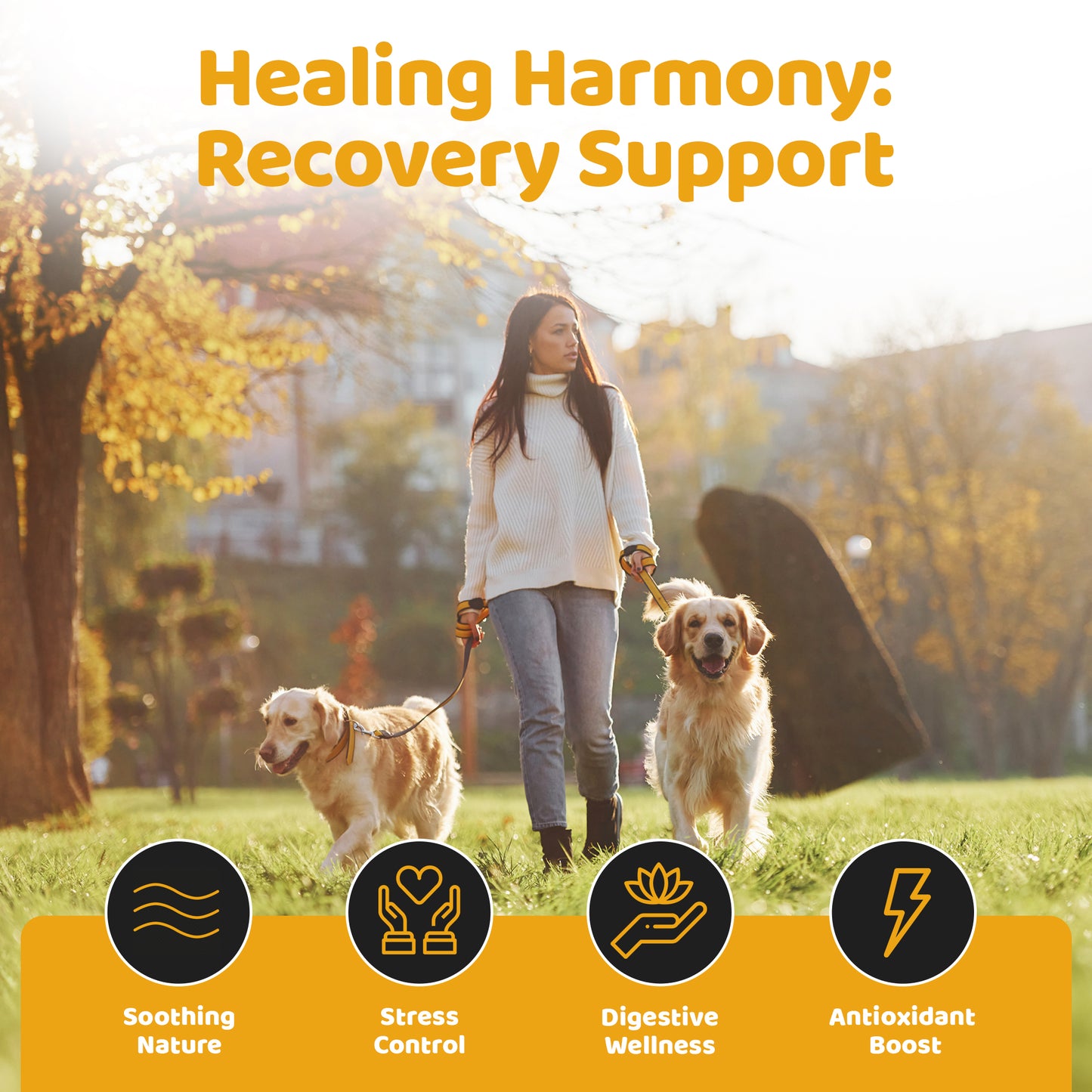 Dog Recovery Supplement Drops