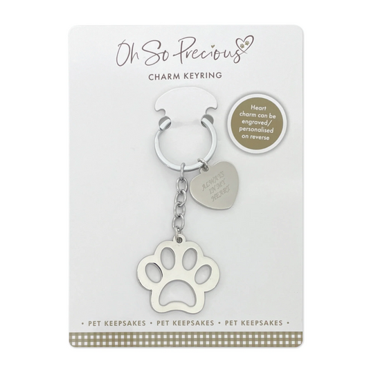 Pet Charm Paw Memorial Keyring