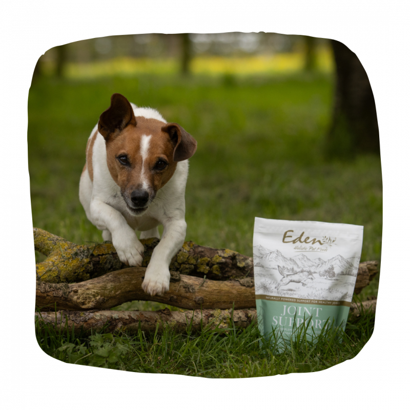 Eden Joint Support for Dogs