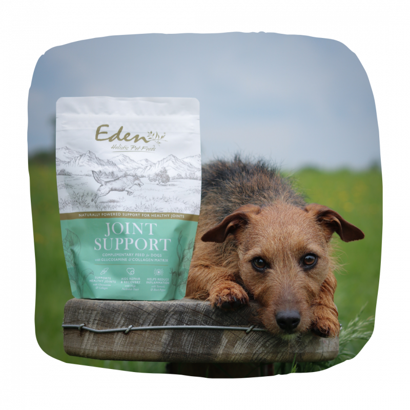 Eden Joint Support for Dogs