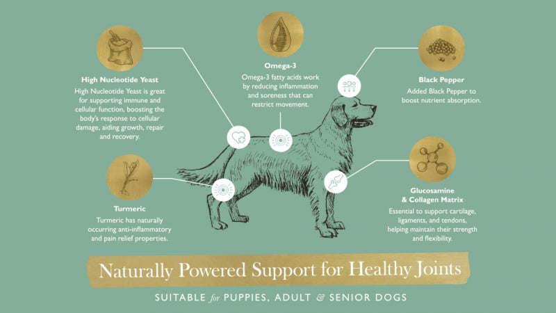 Eden Joint Support for Dogs