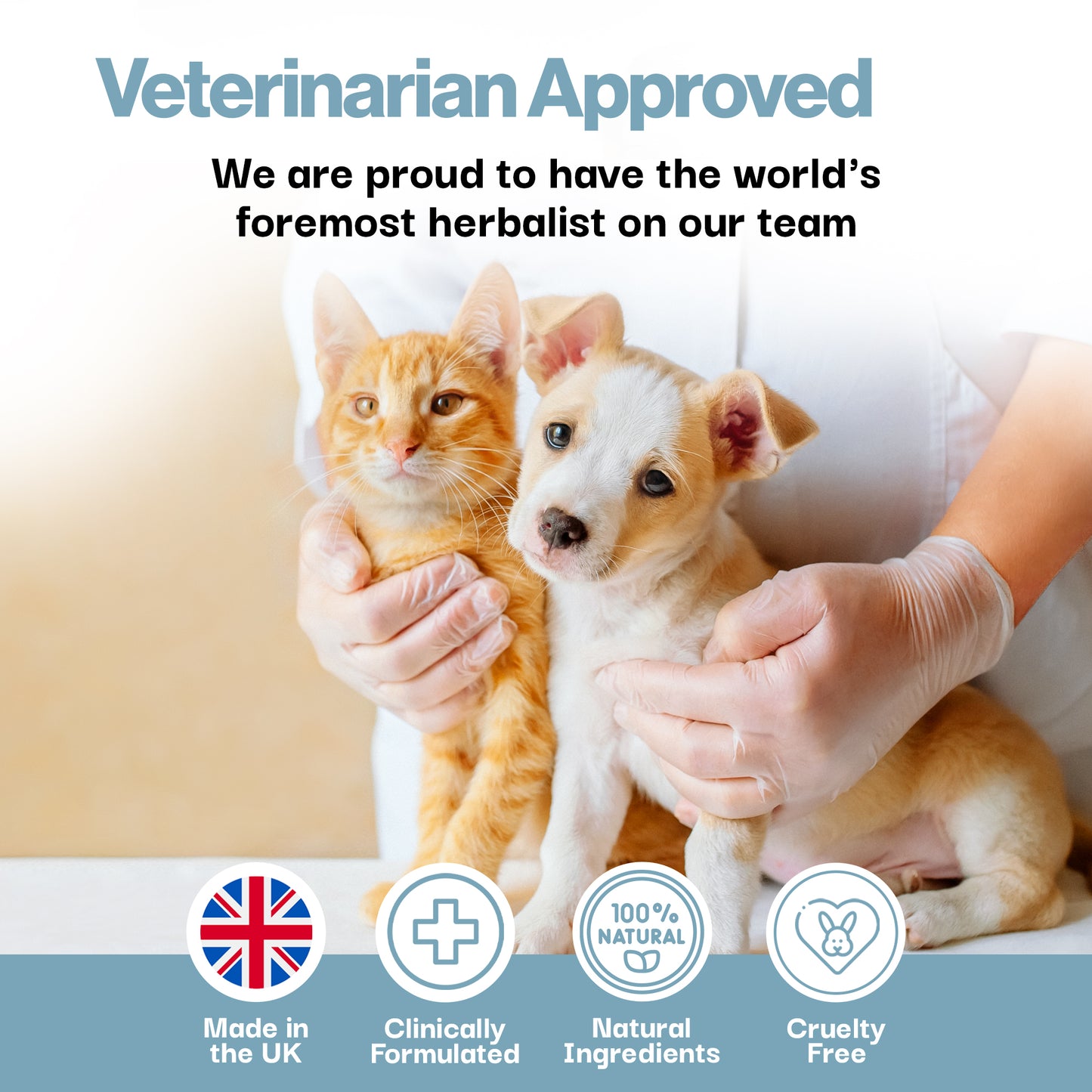 Calming Aid Probiotic For Pets