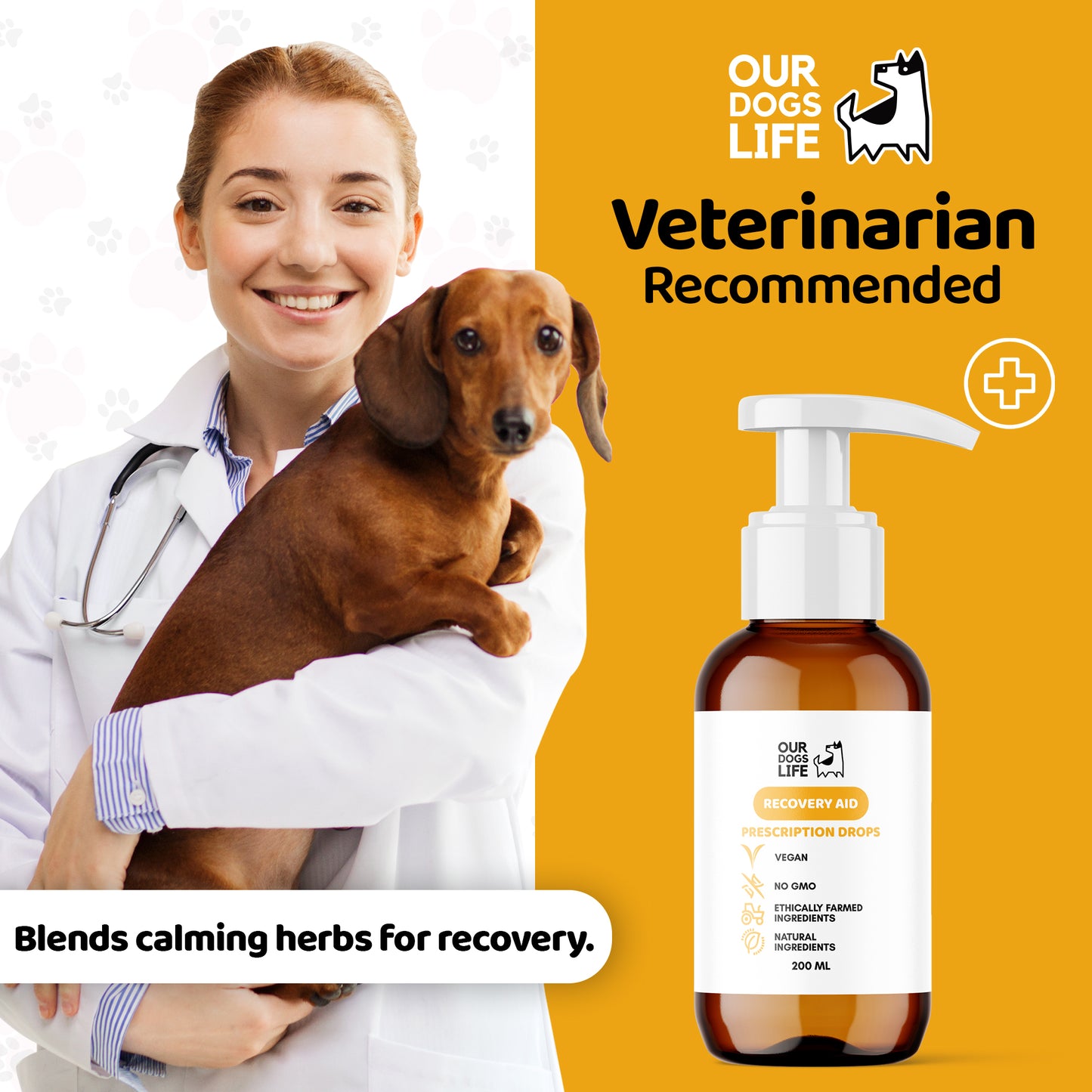 Dog Recovery Supplement Drops