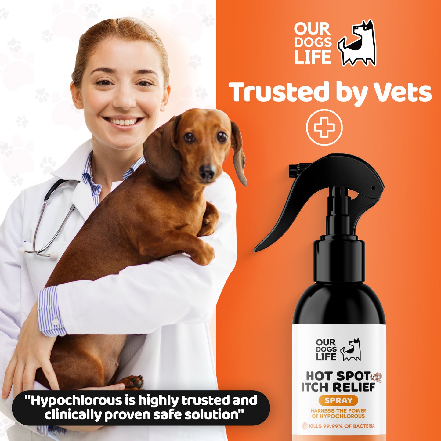 Itch Spray for Dogs