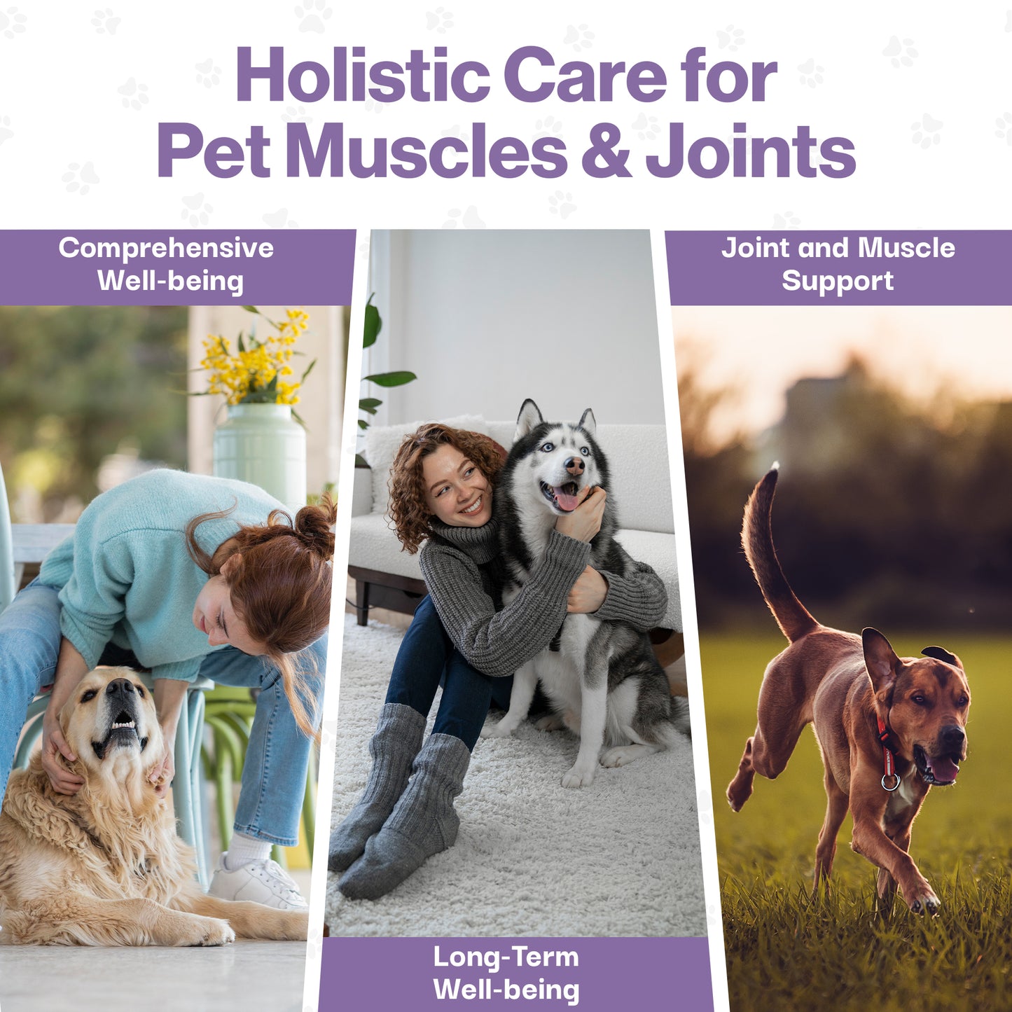 Muscle & Joint Probiotic For Pets
