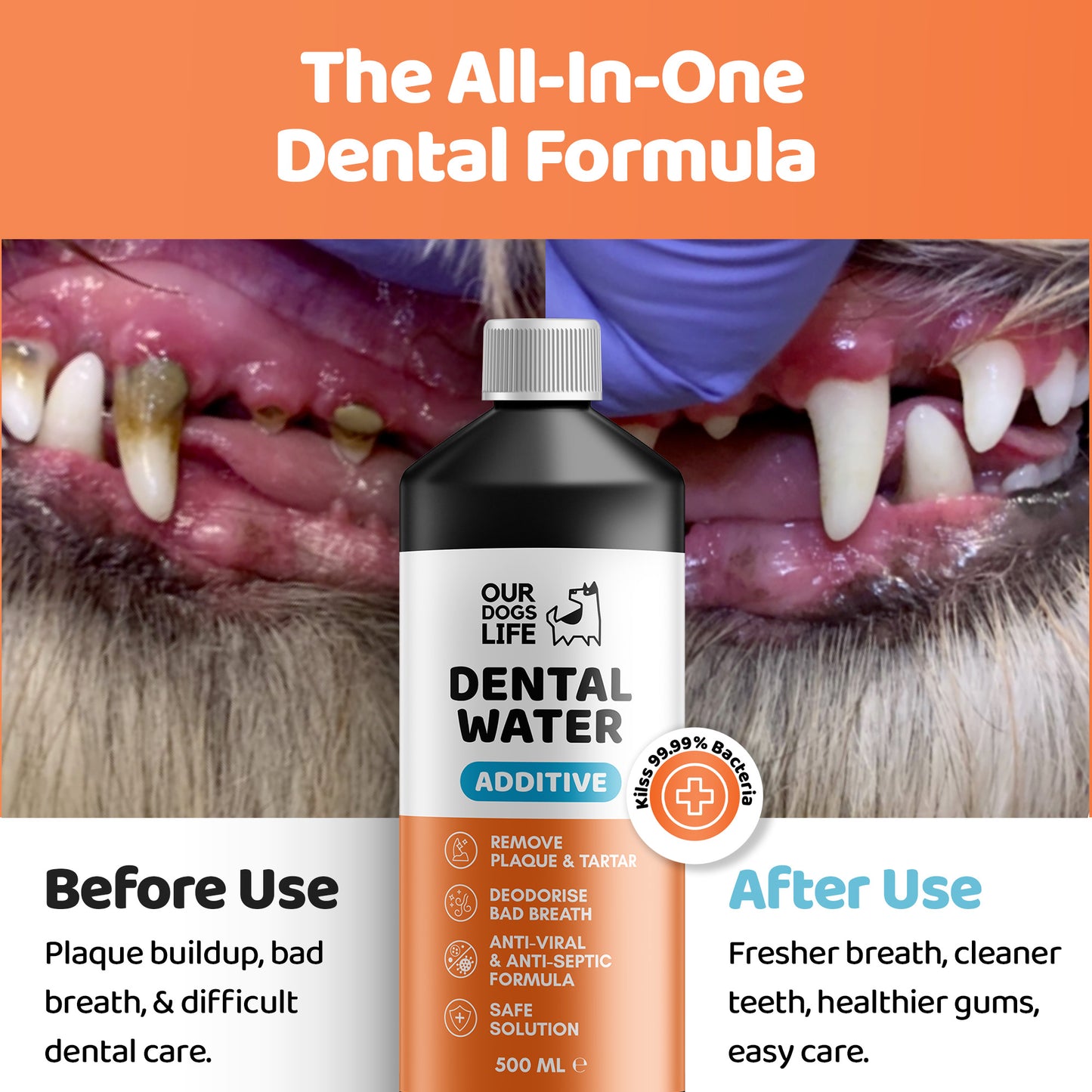 Dog Dental Formula