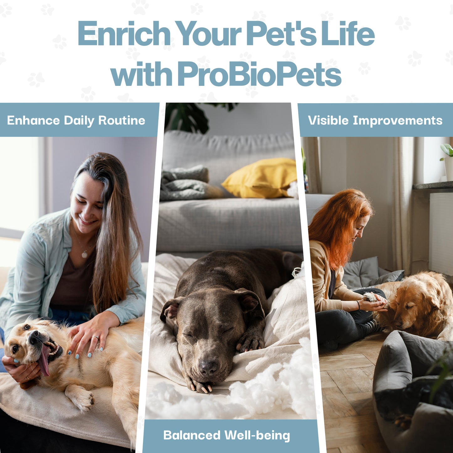 Calming Aid Probiotic For Pets