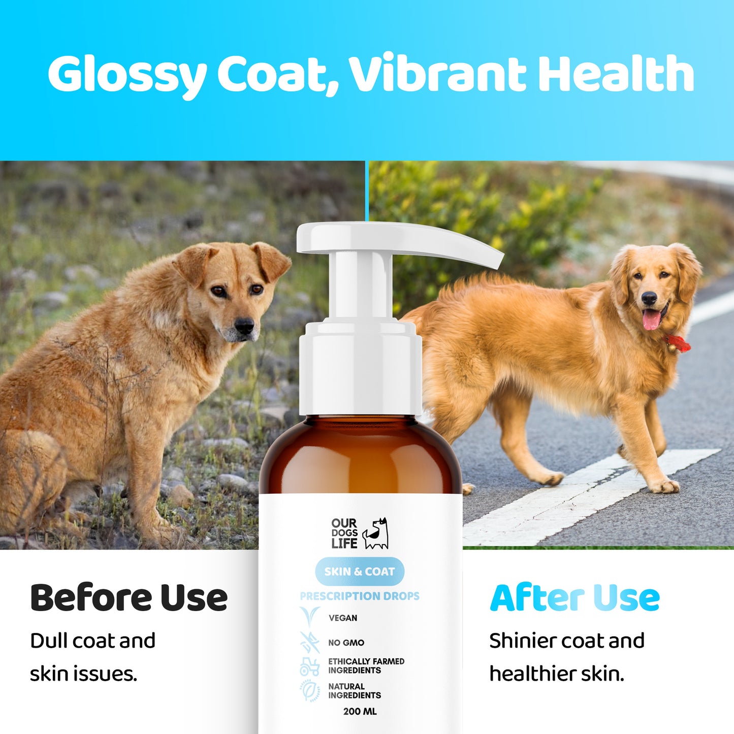 Dog Skin & Coat Supplement