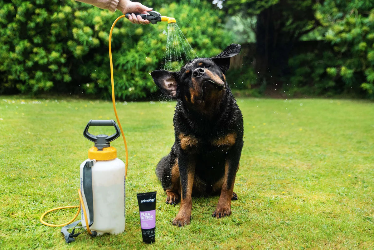 Animology Flea & Tick Shampoo 250ml