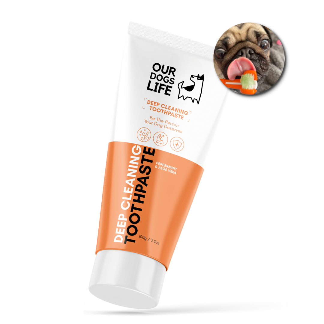 Vet 2024 recommended toothpaste