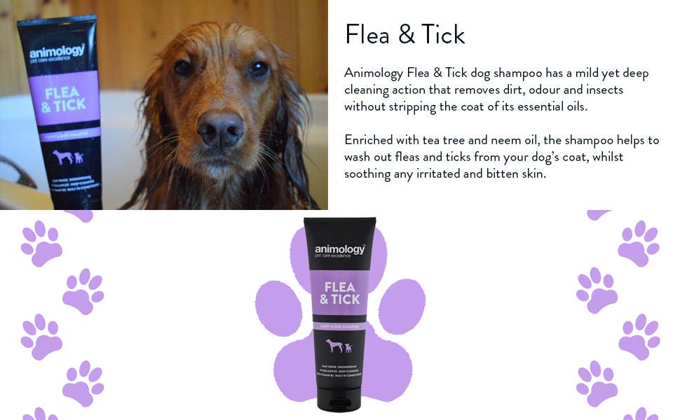 Animology Flea & Tick Shampoo 250ml
