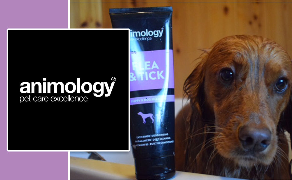 Animology Flea & Tick Shampoo 250ml