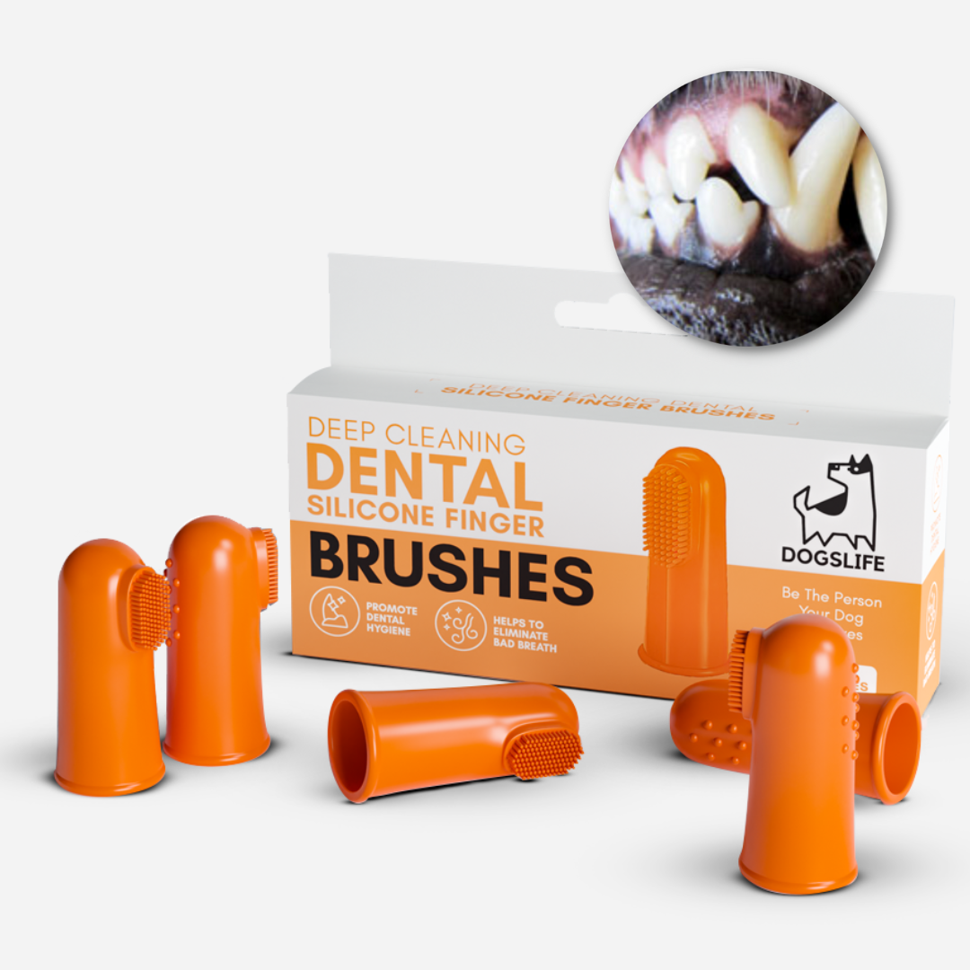 Brushee toothbrush for 2024 dogs