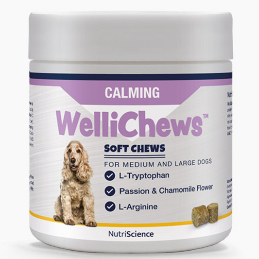 Wellichews Calming Soft Chews for Medium/Large Dogs