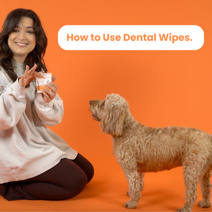 Dog Teeth Cleaning Wipes