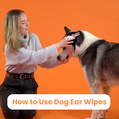 Dog Ear Wipes