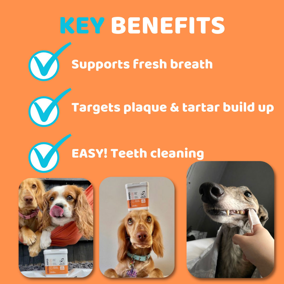 Dog Teeth Cleaning Wipes