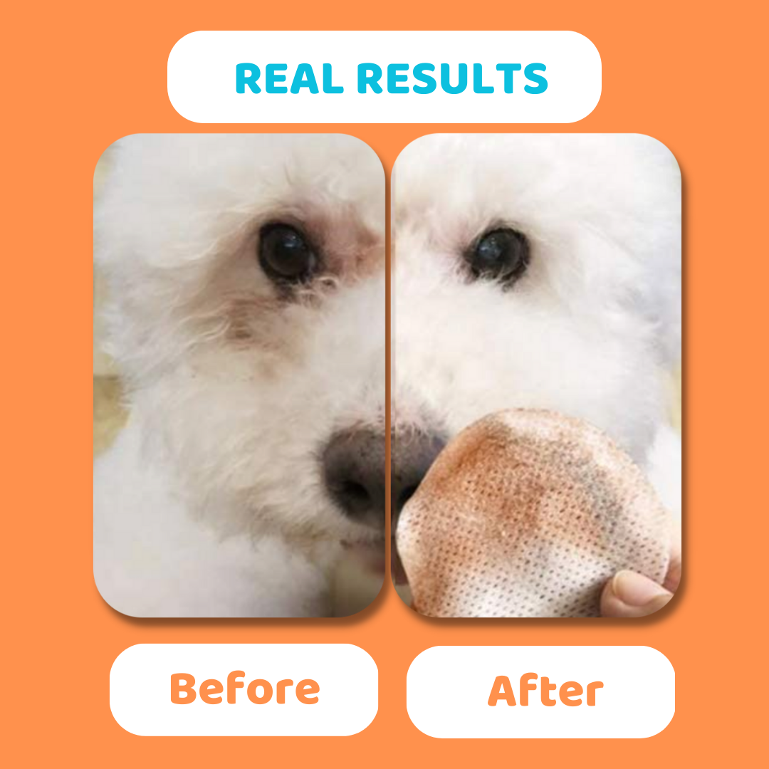 Eye Wipes for Dogs