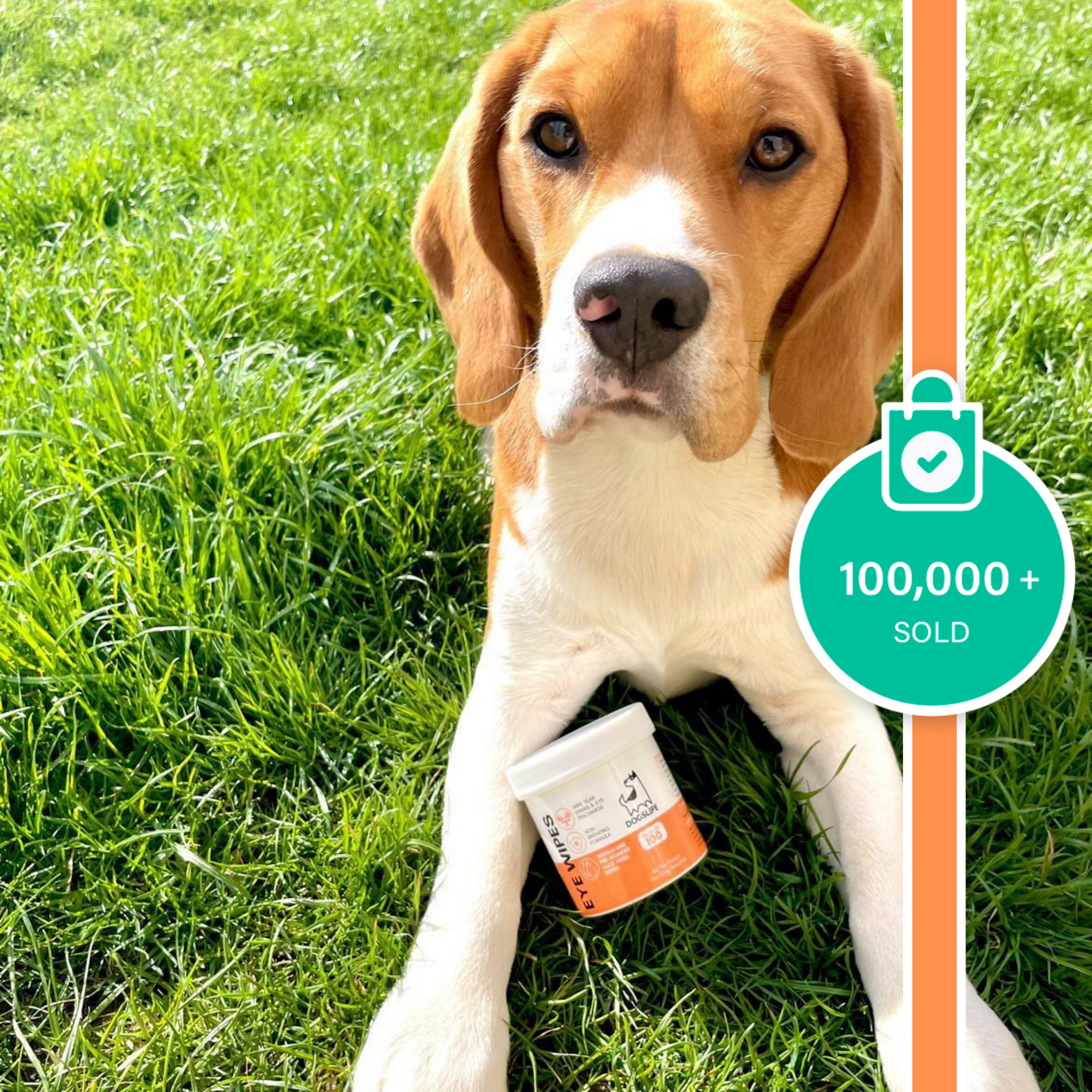 Eye Wipes for Dogs