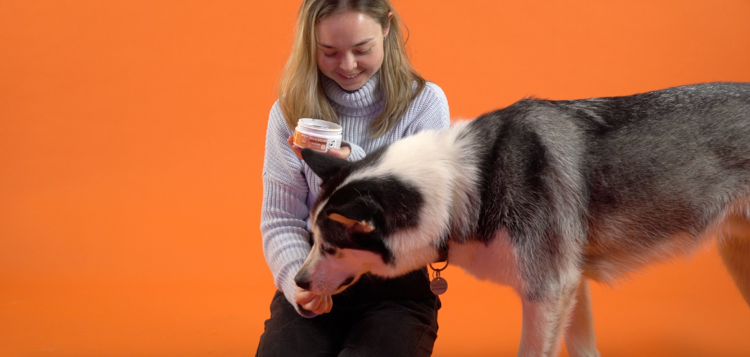 Feeding Instructions For Our Itch Relief Chews