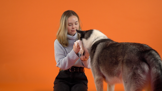 Keep Your Pup Clean & Healthy With Our Grooming Wipes
