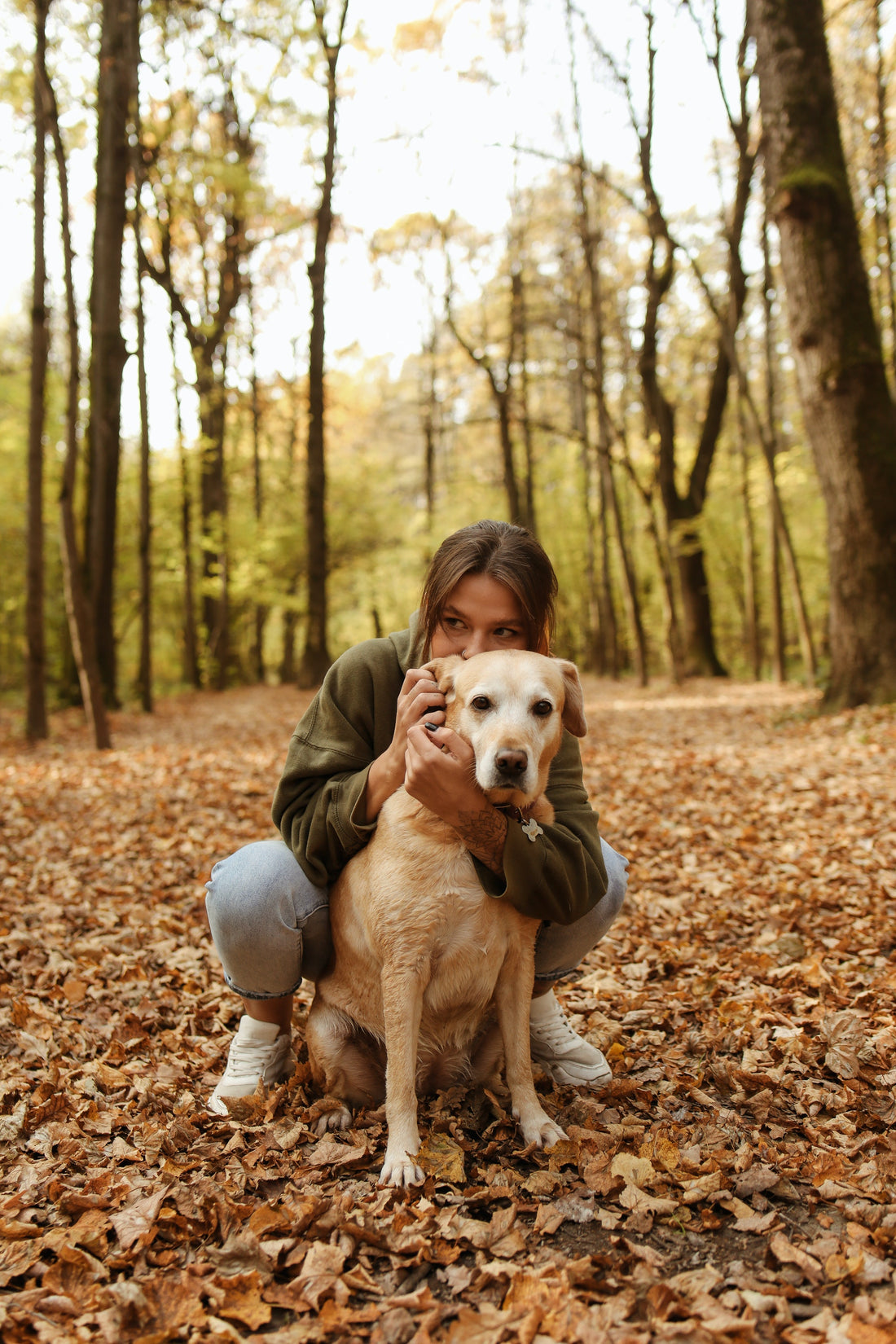 Autumn Grooming & Care Top Tips