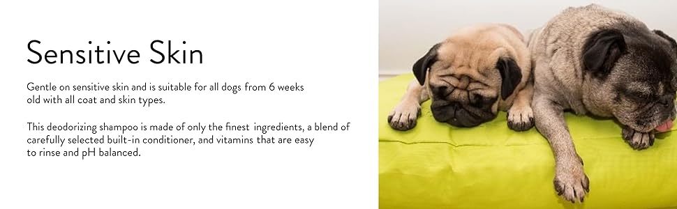 Animology Derma Dog Shampoo 250ml