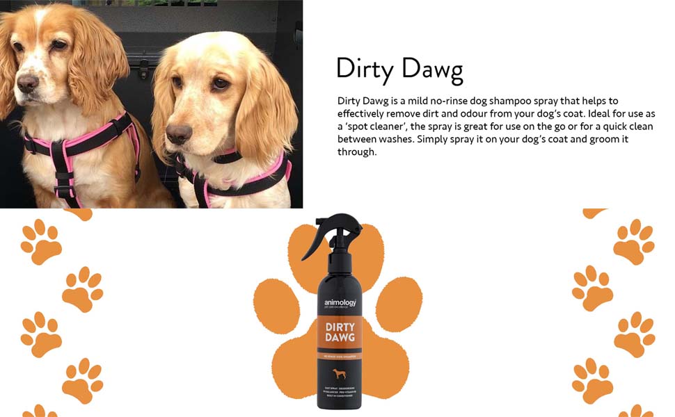 Animology Dirty Dawg No Rinse Shampoo 250ml