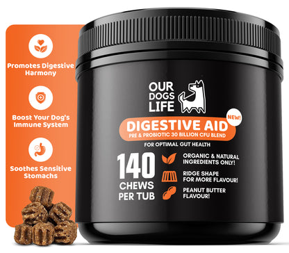 Digestive Supplements for Dogs