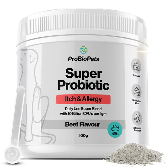 Itch & Allergy Probiotic for Pets