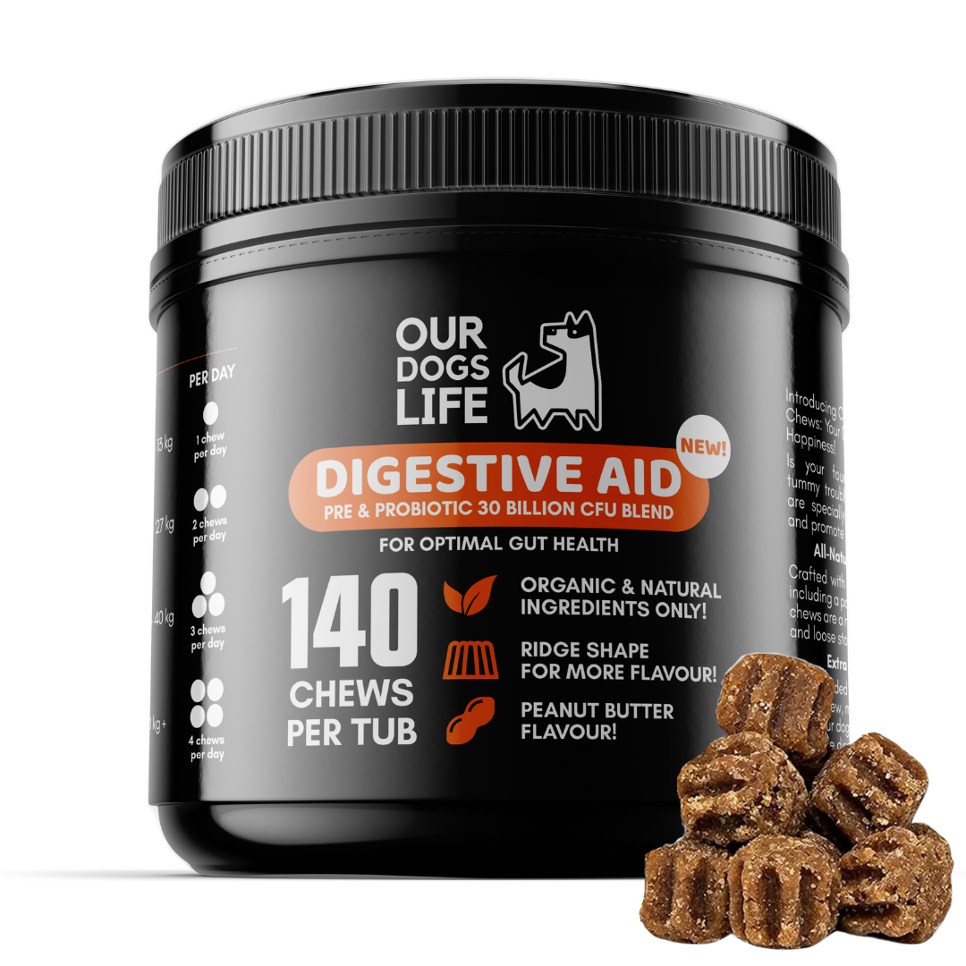 Digestive Supplements For Dogs Healthy Gut Supplements OurPetsLife