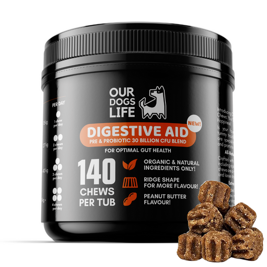 Digestive Supplements for Dogs
