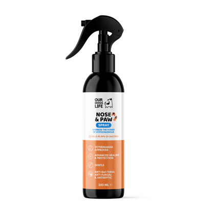 Dog Paw & Nose Cleaner Spray