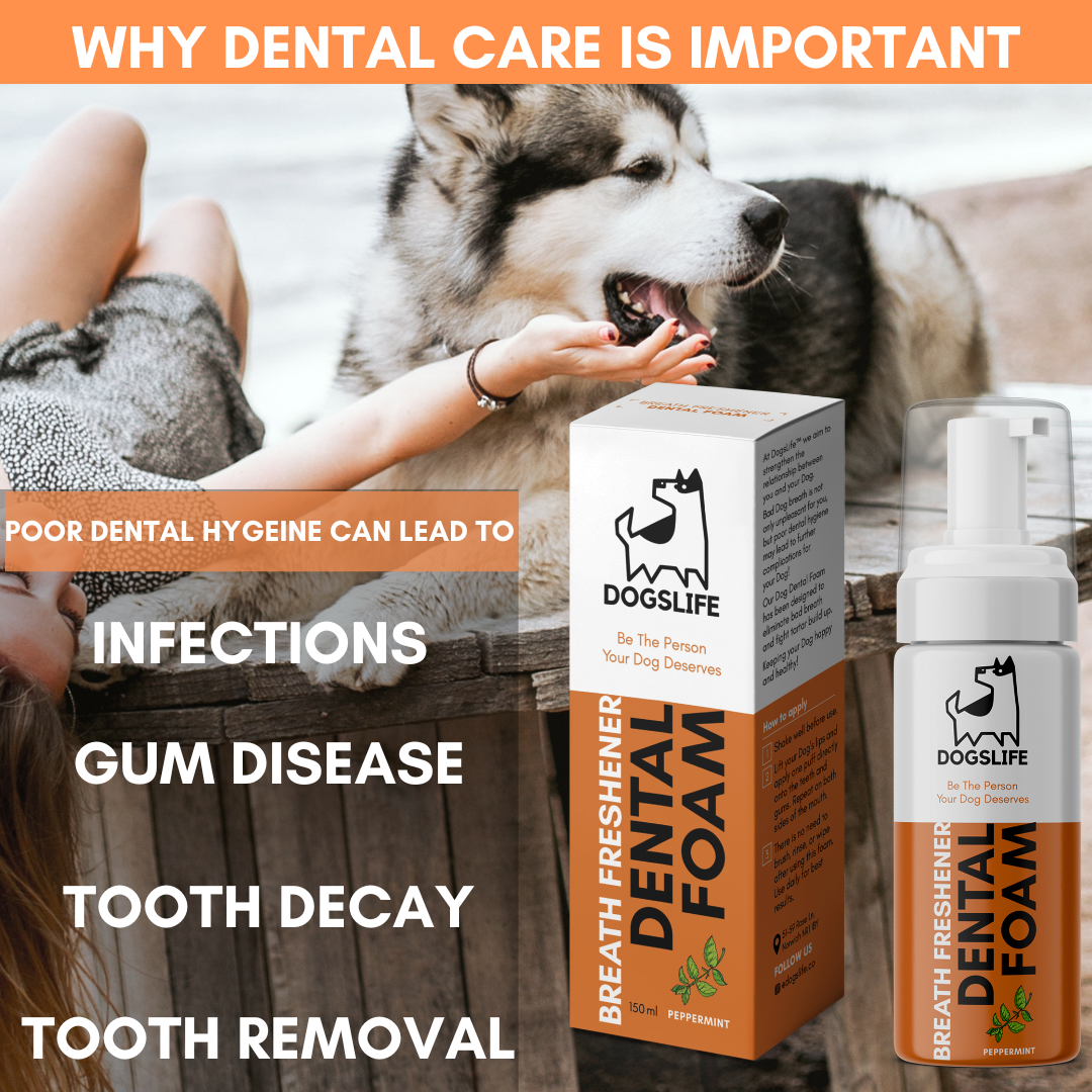 Dental Foam for Dogs