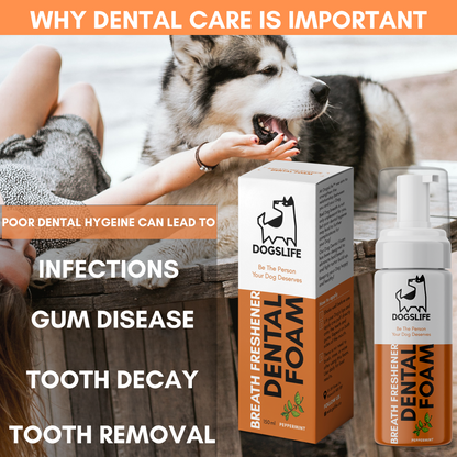 Dental Foam for Dogs