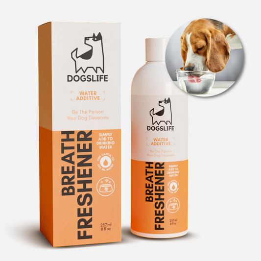 Dog Dental Water Additive