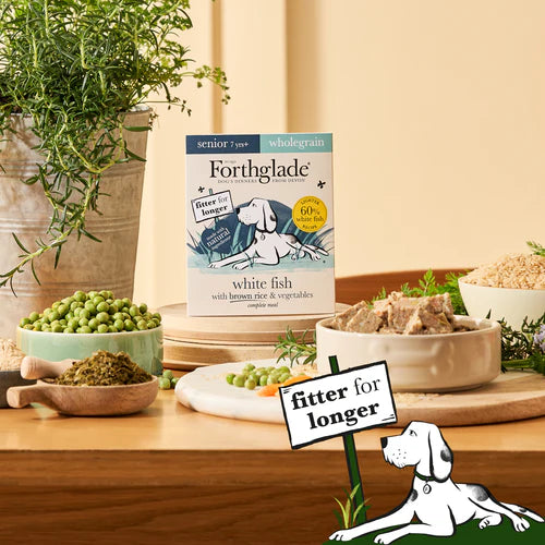 Senior White Fish with Brown Rice & Vegetables Wet Dog Food