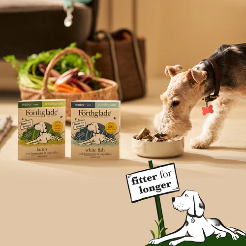 Senior Lamb, White Fish, Brown Rice & Vegetables Wet Dog Food - Variety Pack