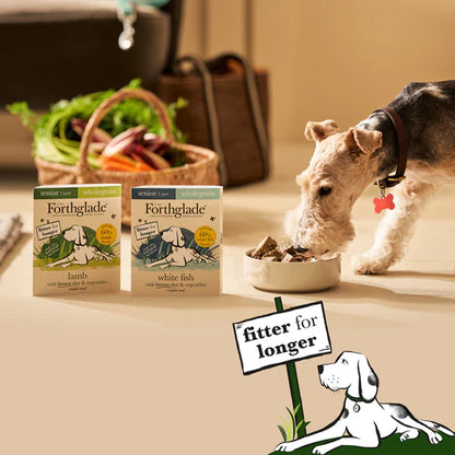 Senior Lamb, White Fish, Brown Rice & Vegetables Wet Dog Food - Variety Pack