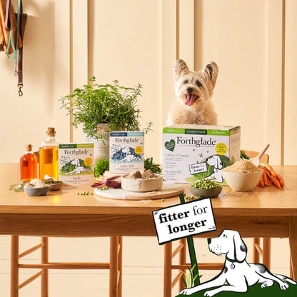 Senior Lamb, White Fish, Brown Rice & Vegetables Wet Dog Food - Variety Pack