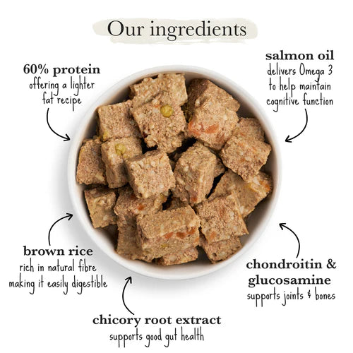 Senior White Fish with Brown Rice & Vegetables Wet Dog Food