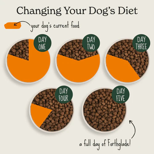 Lamb Lightly Baked Natural Dry Dog Food 2KG