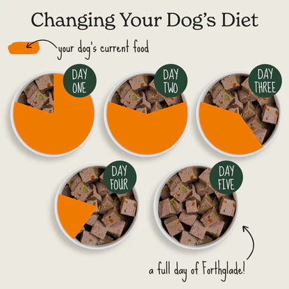 Senior Lamb, White Fish, Brown Rice & Vegetables Wet Dog Food - Variety Pack