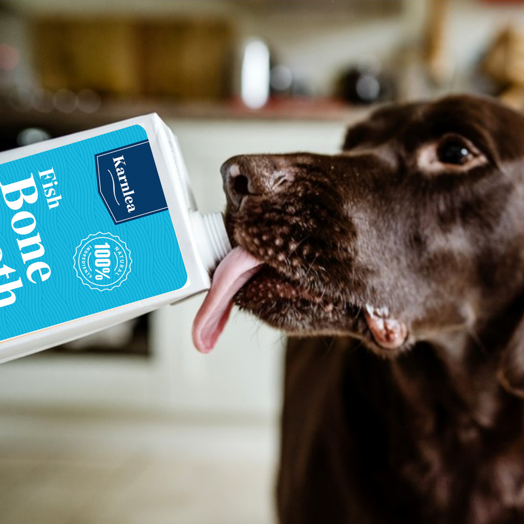Fish Bone Broth Liquid for Pets