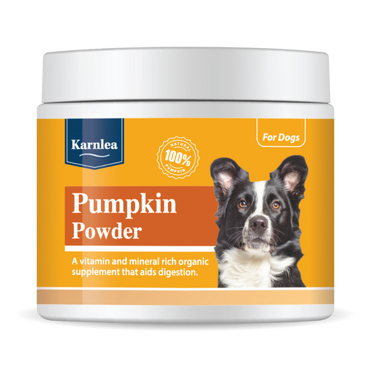 Organic Pumpkin Powder for Dogs